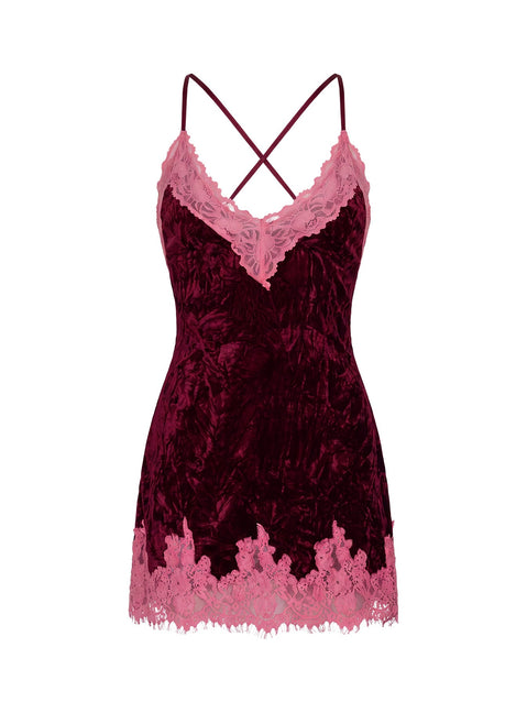 Call My Lover Samt-Spitzen-Mini-Kleid Pflaume / Rosa